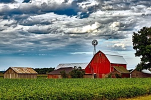 Image of windmill-farm.jpg