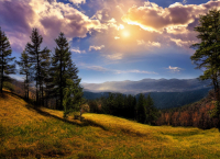 thumb 20240227 ai image